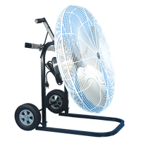 Schaefer 30FC-B 30" Black Fan with Cart