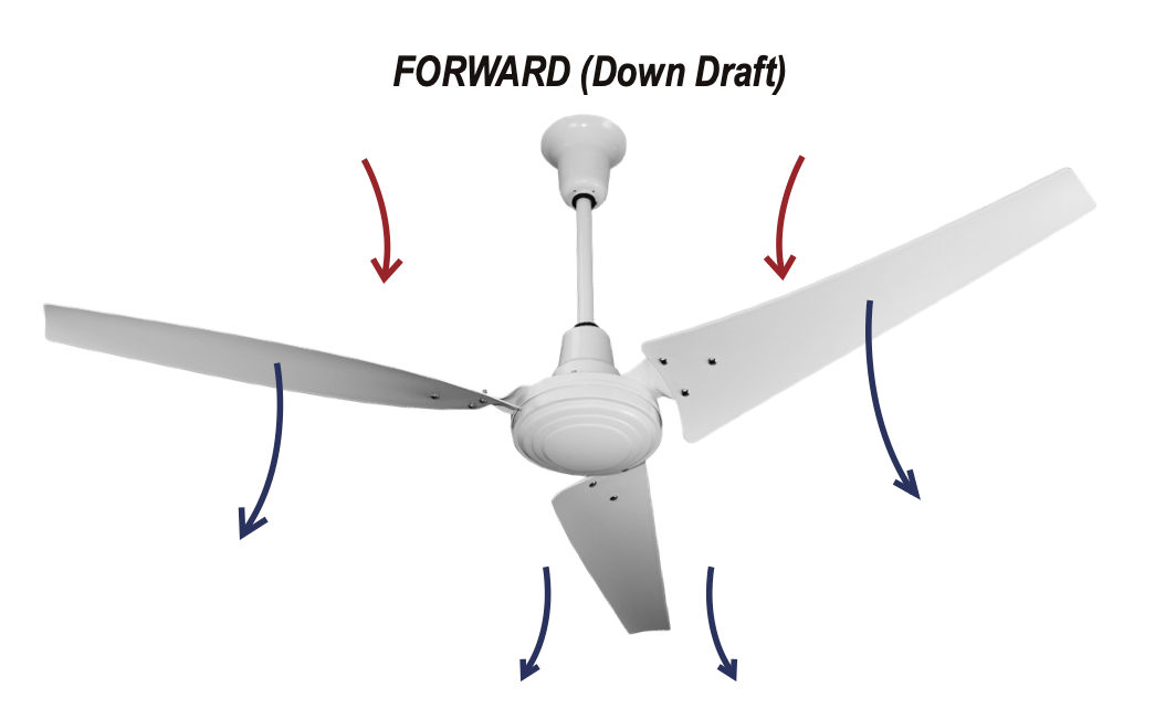 TPI Corporation - E60CFD - 60" Industrial High Eff. Ceiling Fan, White, with forward/reverse feature and 18" downrod