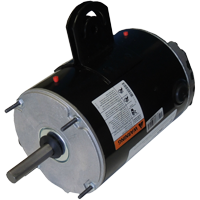 Schaefer CS103WD 1/3 Hp, 115/230V, 60 Hz, 1-Phase, Washdown Duty, Epoxy Coated, 1725 rpm