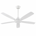 Canarm CP60DW10N 60-Inch Weatherproof Ceiling Fan
