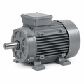 Loren Cook - 100628 - MOTOR